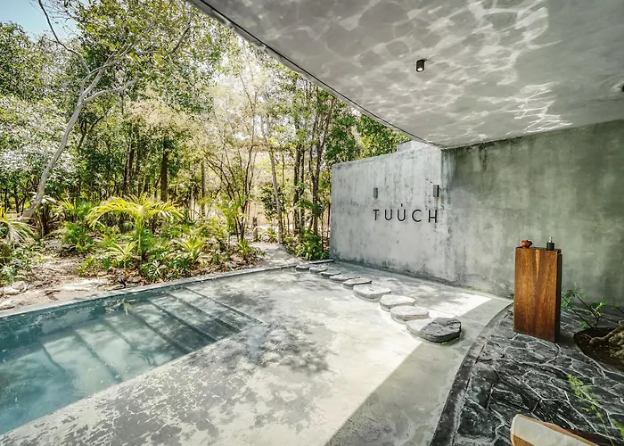 Exclusive 1br In Jungle Private Pool Apartment