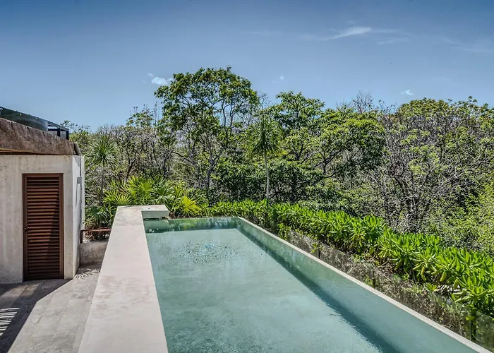 Exclusive 1br In Jungle Private Pool Apartment Tulum