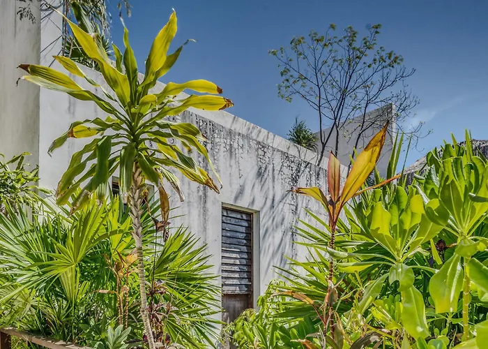 Exclusive 1br In Jungle Private Pool Tulum